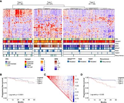 A clinically useful and biologically informative genomic classifier for papillary thyroid cancer